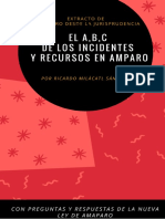 El ABC de Los Recursos e Incidentes en Amparo
