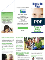 FVB Varnish Brochure-SP 256392 7 PDF