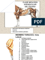 Clase-miologia-anatomia-2.pdf