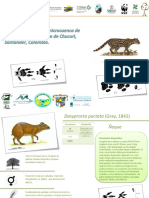 Ficha - Fauna S. - Las Cruces PDF