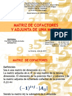 Matriz de Cofactores (Exposicion)