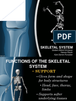 Skeletal System