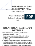 Sistem Perkemihan Dan Reproduksi Pada Pria Dan Wanita: Oleh: Tuti Nuraini, Skp. Kelompok Keilmuan DKKD 2005