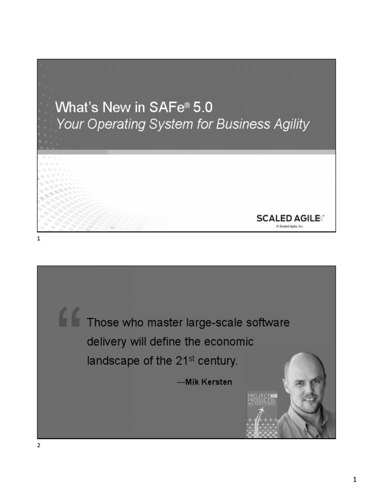 SAFe 5.0 Portfolio Management Guidelines PDF Agile Software