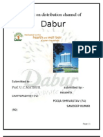 Dabur's Distribution Channel Project