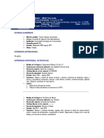 Formato de CV Lilibeth Torres PDF