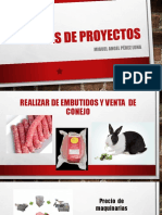 Ideas de proyectos.pptx