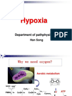 05 Hypoxia