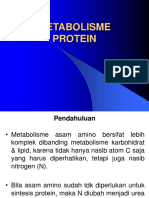 3 Metabolisme Protein