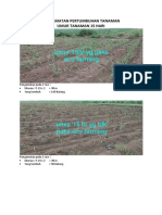 Pengamatan Pertumbuhan Tanaman Eco Farming