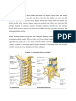 anatomi vertebrae dan komplikasi fraktur