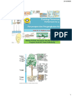 Fisiologi Tanaman: Penyerapan dan Pengangkutan Air
