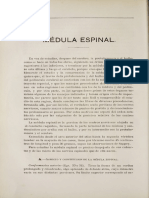 b11166927_0007 MEDULA ESPINAL ARTICULO.pdf