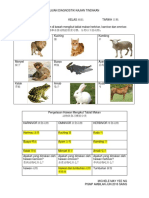 Ujian Diagnostik