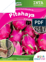 Recomendaciones Produccion Pitahaya 2018