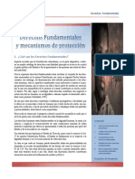 Derechos Fundamentales y Mecanismos de Protección