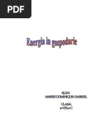 ENERGIA IN GOSPODARIE