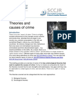 Causes-of-Crime.pdf
