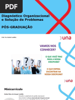 AULAS 1 e 2 Diagnóstico Organizacional e Solução de Problemas.pdf
