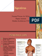 Kuliah Anatomi Dinding Abdomen, Cavum Oris, Oropharynx, Oesophagus, Gaster-Dr - Nanang