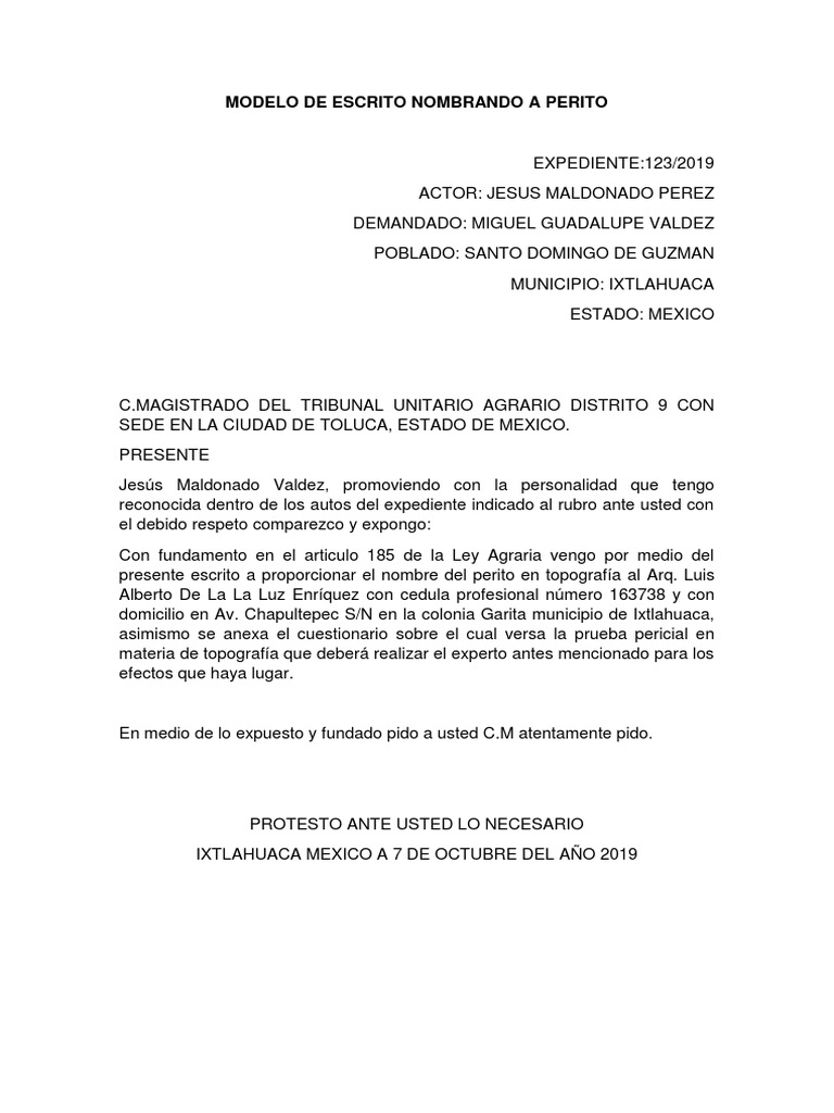 Modelo de Escrito Nombrando A Perito | PDF | Testigo experto | México