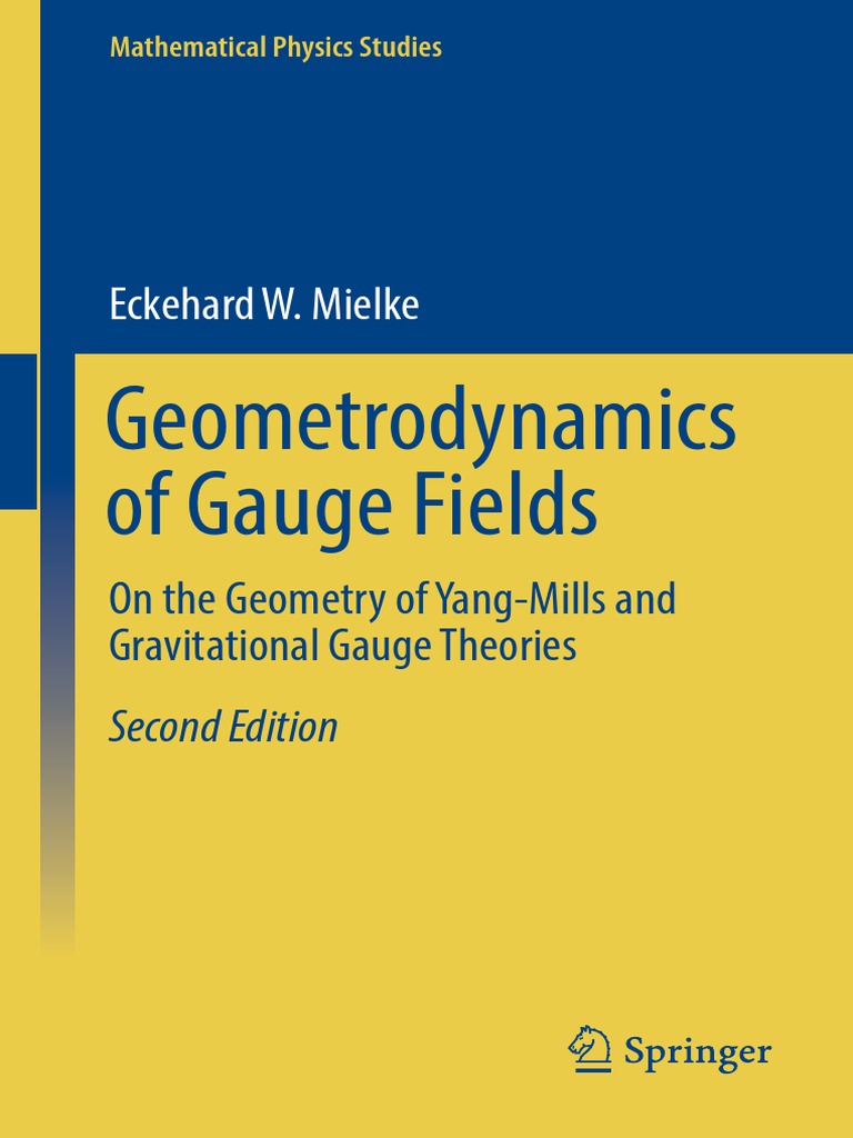 Geometrodynamics of Gauge Fields_ On the Geometry of YangMills and
