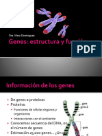 genes-estructura-y-funcion (1).pptx