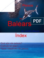 Peixosdelesbalears 110315061700 Phpapp01