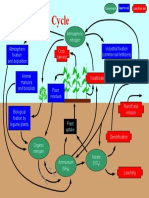 Nitrogen Cycle