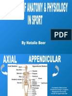 LO1 part 2- Structure & Function of Muscular System