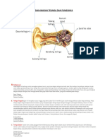TINGKAT FUNGSI TELINGA