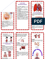 TRIPTICO PULMONES.doc