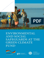 Environmental and Social Safeguards at The Green Climate Fund