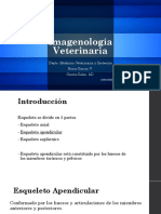 Imagenología Miembros Torácicos PDF