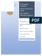 Consigna2 Vladimir Bucio García PDF