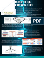 Sistema de Conduccion Infografia