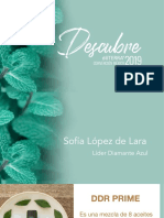 DDR PDF