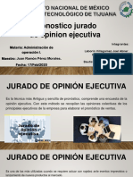 Expo-Jurado-De-Opinion-Ejecutiva 1