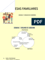 SEM 7 - EMPRESAS FAMILIARES (1)