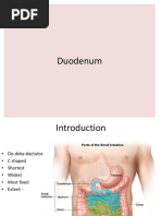 Duodenum