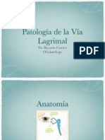 9. VL alumnos.pdf