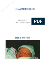 El Neonato Icterico