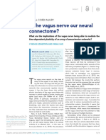 the Vagus Nerve