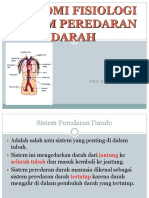 Sistem-Peredaran-Darah DRG - Ayu