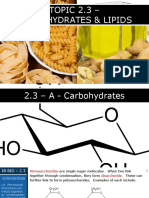 09 - IB Biology (2016) - 2.3 - Carbohydrates & Lipids