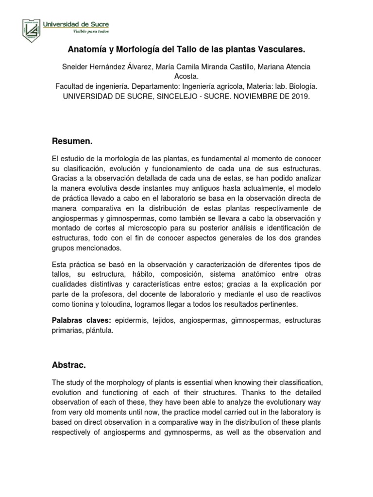 Anatomía del Tallo en Plantas Vasculares | PDF | Tallo de la planta | Hoja