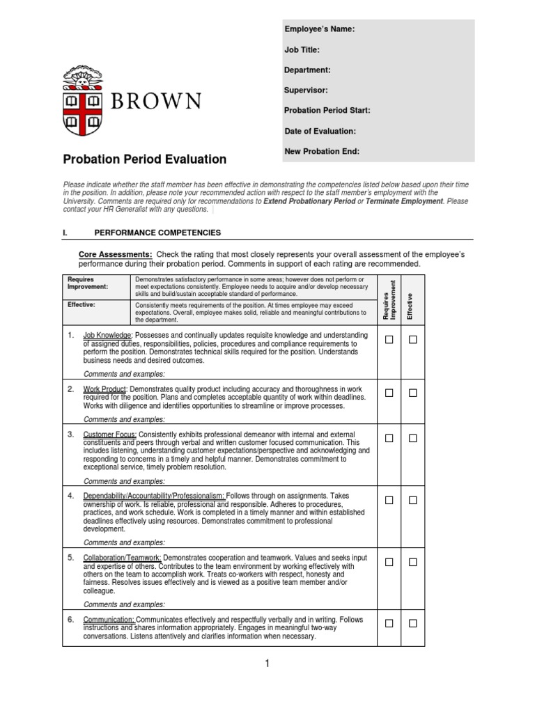 2017 Probation Period Evaluation | PDF | Career & Growth