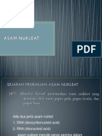 Asam Nukleat PDF