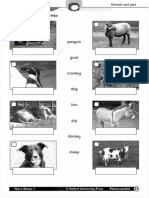 Animals_and_Pets_Activity_Sheets