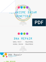 DNA Repair Biosel